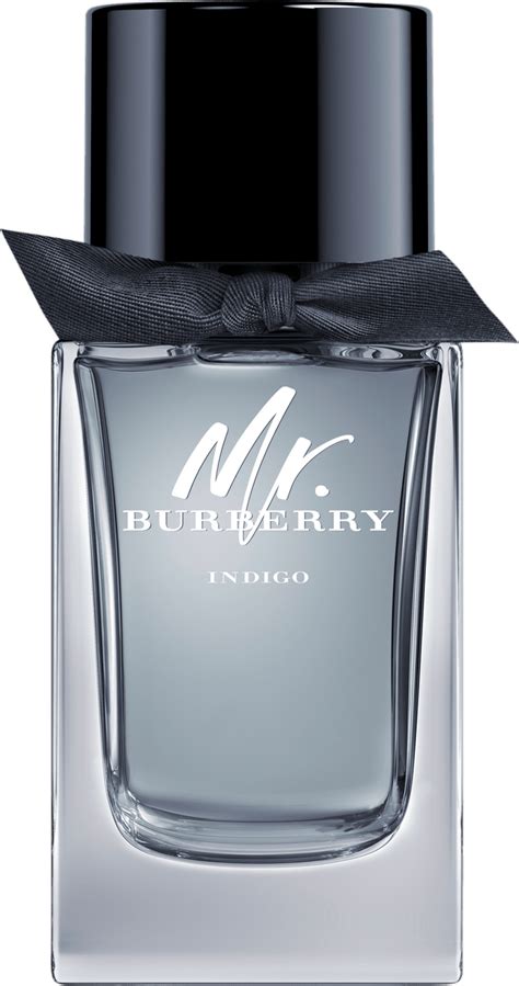 mr burberry burberry eau spray|mr Burberry indigo 100ml.